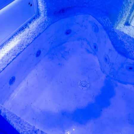 Leone D'autore - Chiaia